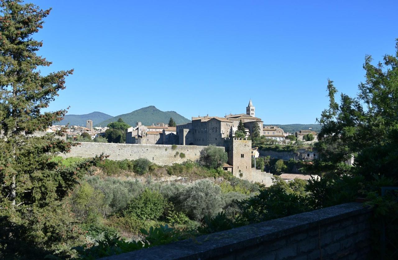 La Finestra Di Umberto Vicino Al Centro Con Parcheggio Privato Bed & Breakfast Viterbo Eksteriør bilde